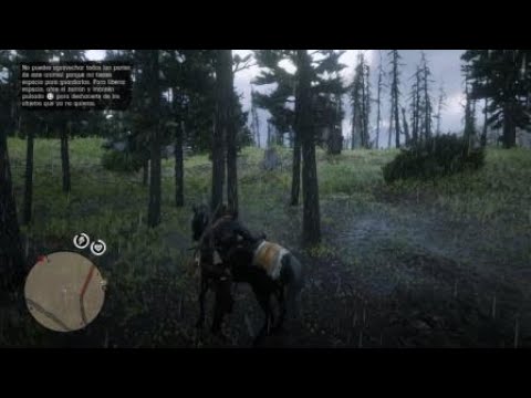 Red Dead Redemption 2 Caza: Lobo Y Puma en perfecto Estado