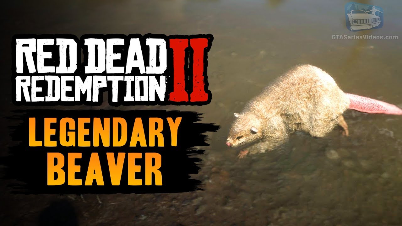 Red Dead Redemption 2 Legendary Animal - Legendary Beaver