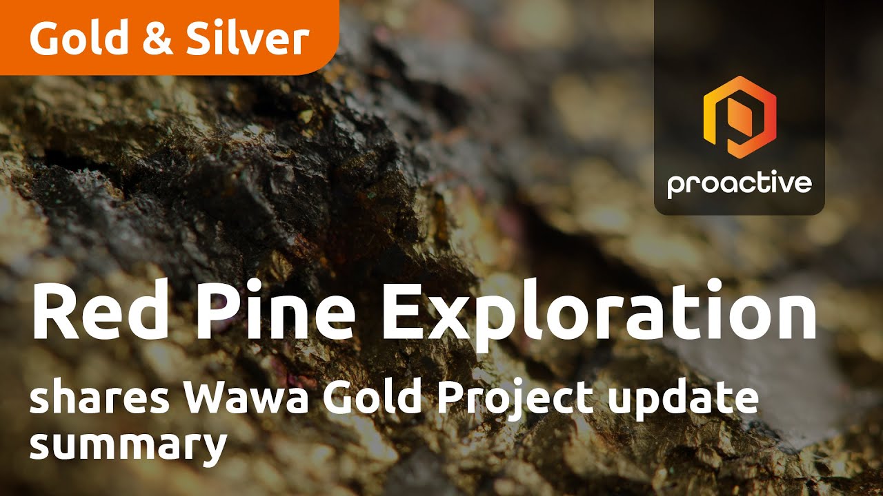 Red Pine Exploration shares Wawa Gold Project update summary