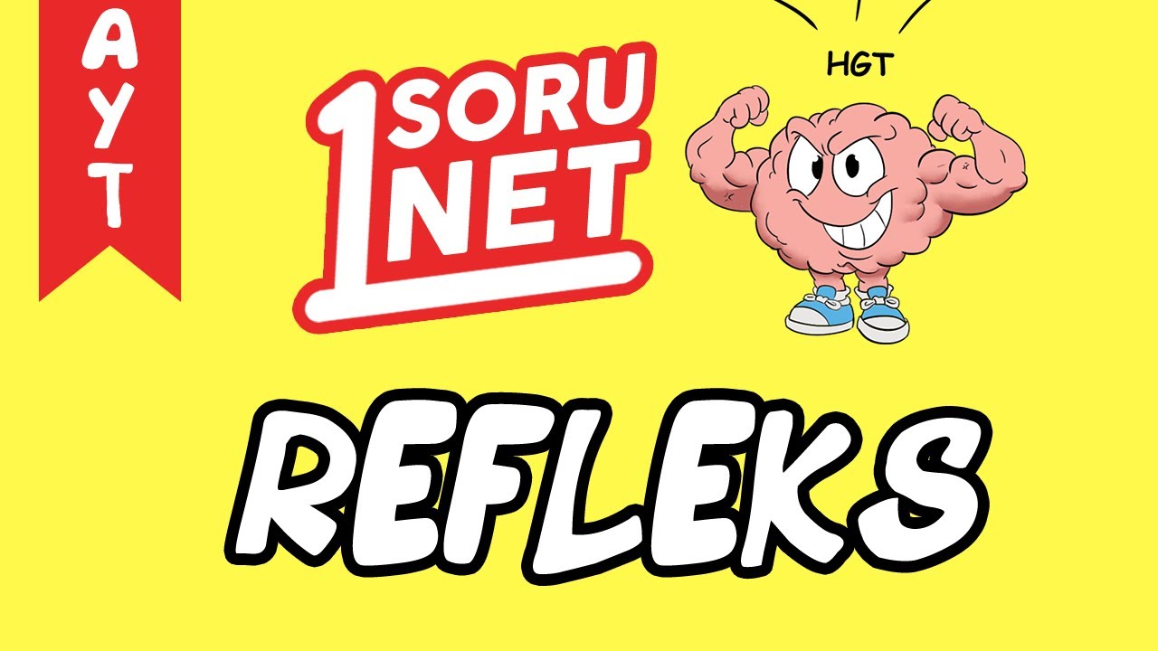Refleks /sayfa 23/4 / AYT Biyoloji