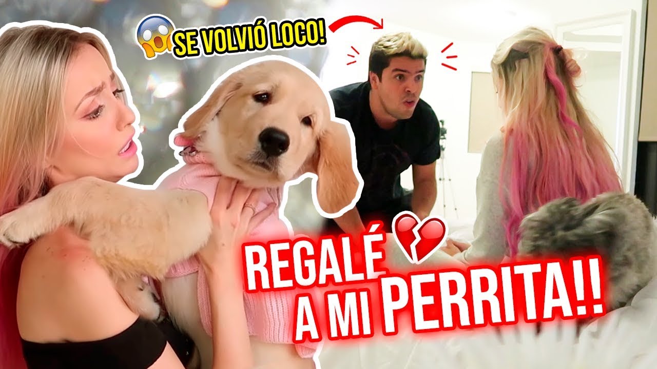 REGALÉ A MI PERRITA SIN QUE MI NOVIO SUPIERA! SE SALIÓ DE CONTROL!😱 BROMA ÉPICA 🙈 | Katie Angel