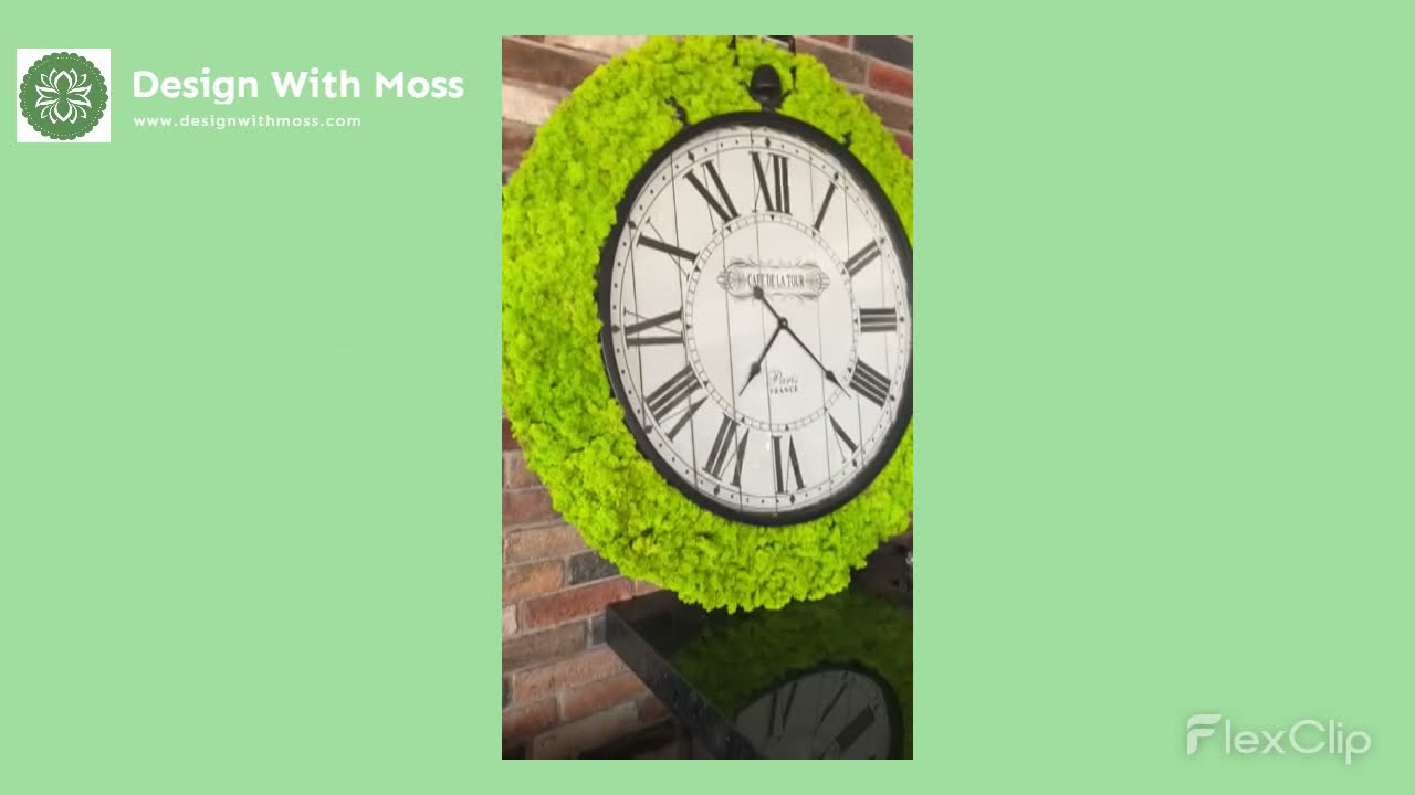 Reindeer Moss Wall Clock - Hugga By the Sea Larnaca, Cyprus