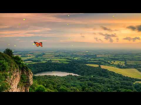 Relaxing Daily Music for Mind and Body – Boost Performance, Reduce Stress 🌿
