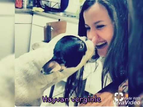 İrem Helvacıoğlu klip