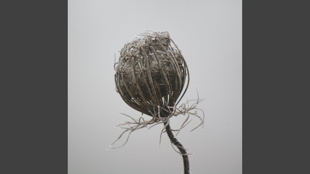Renewal