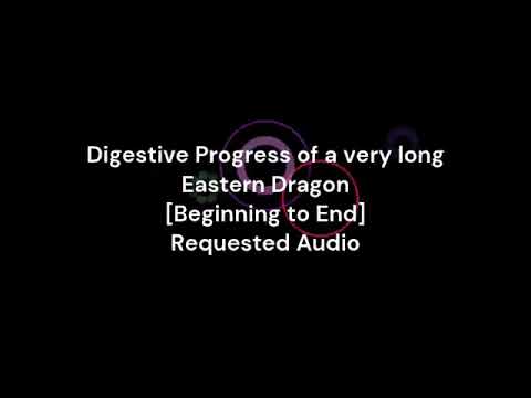 (Requested) Digestive Progress Beginning to End