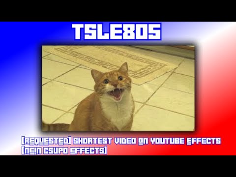 [REQUESTED] Shortest Video On Youtube Effects [NEIN Csupo Effects]