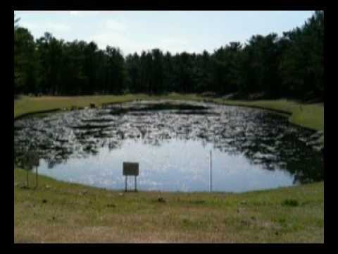 Requiem - S.E.N.S.