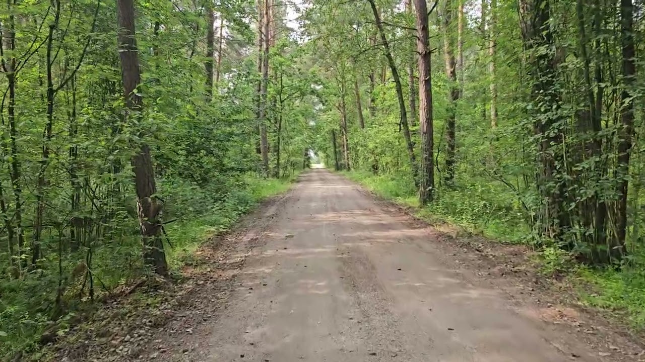 Reserve Police Battalion 101 and the Łomazy massacre, 18 August 1942. Ordinary Men.