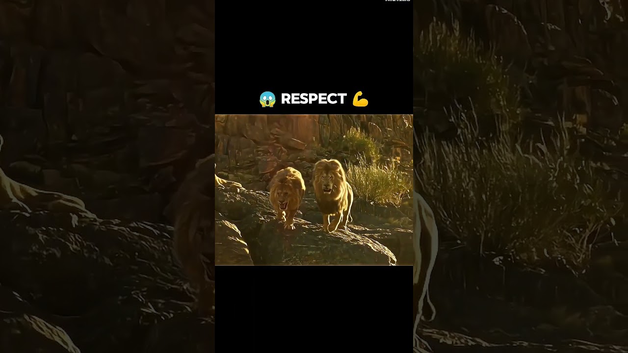 Respect to lion 💪🦁 #hollywoodmovies  #lion #movietime