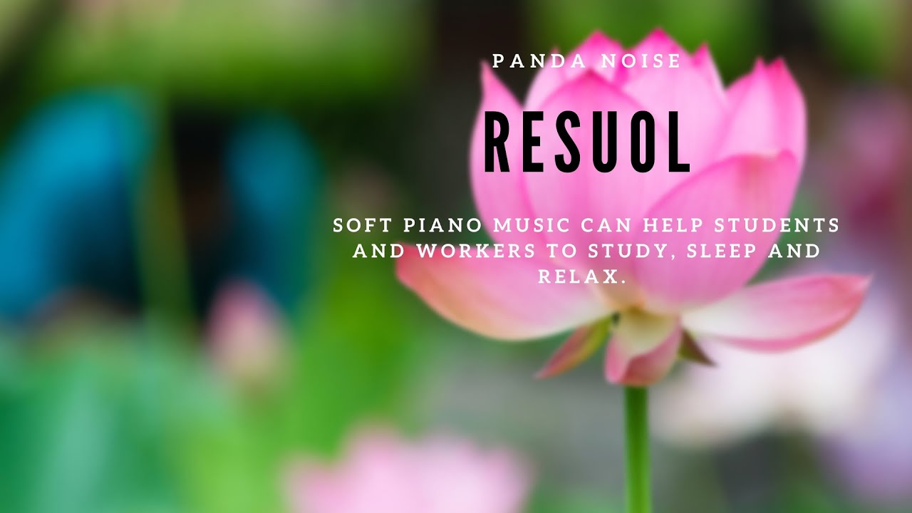 Resuo  - Exclusive official music of ''PANDA NOISE''