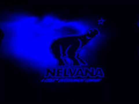 (REUPLOAD) Nelvana (2004) In Samsung Glitch Chorded