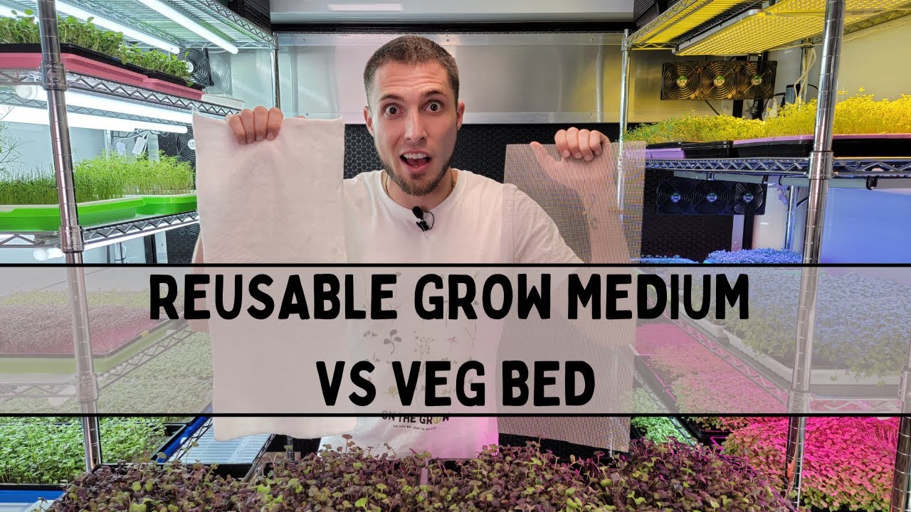 Reusable Grow Medium vs Premium Grow Medium - Rambo Radish  Microgreen Medium Trial