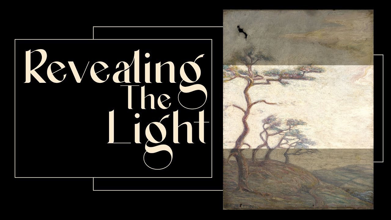 Revealing The Light