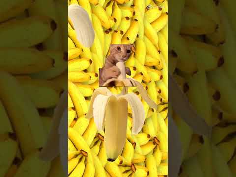 Reversed cat while eating banana #trending #shorts #reels #satisfying