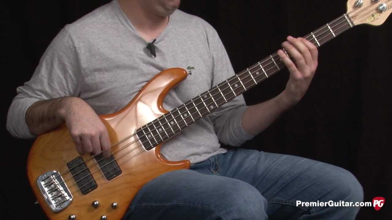 Review Demo - G&L Instruments M2000