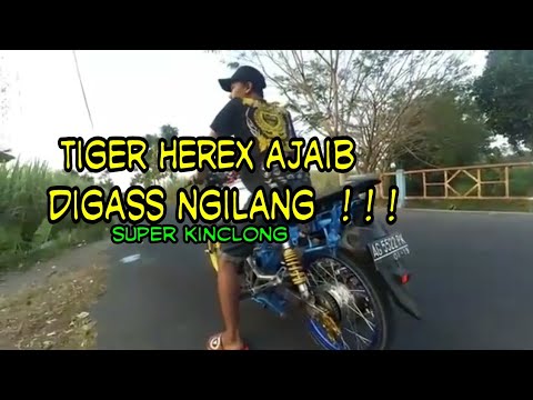 Review Modifikasi dan test drag Tiger Herex istimewa (gas ngilang)