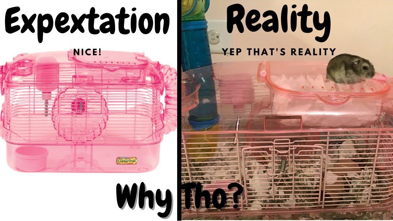 Review of Kaytee CritterTrail One Level Pink Habitat