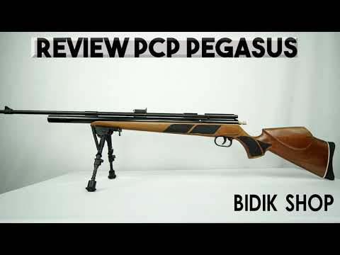 Review Senapan PCP Pegassus
