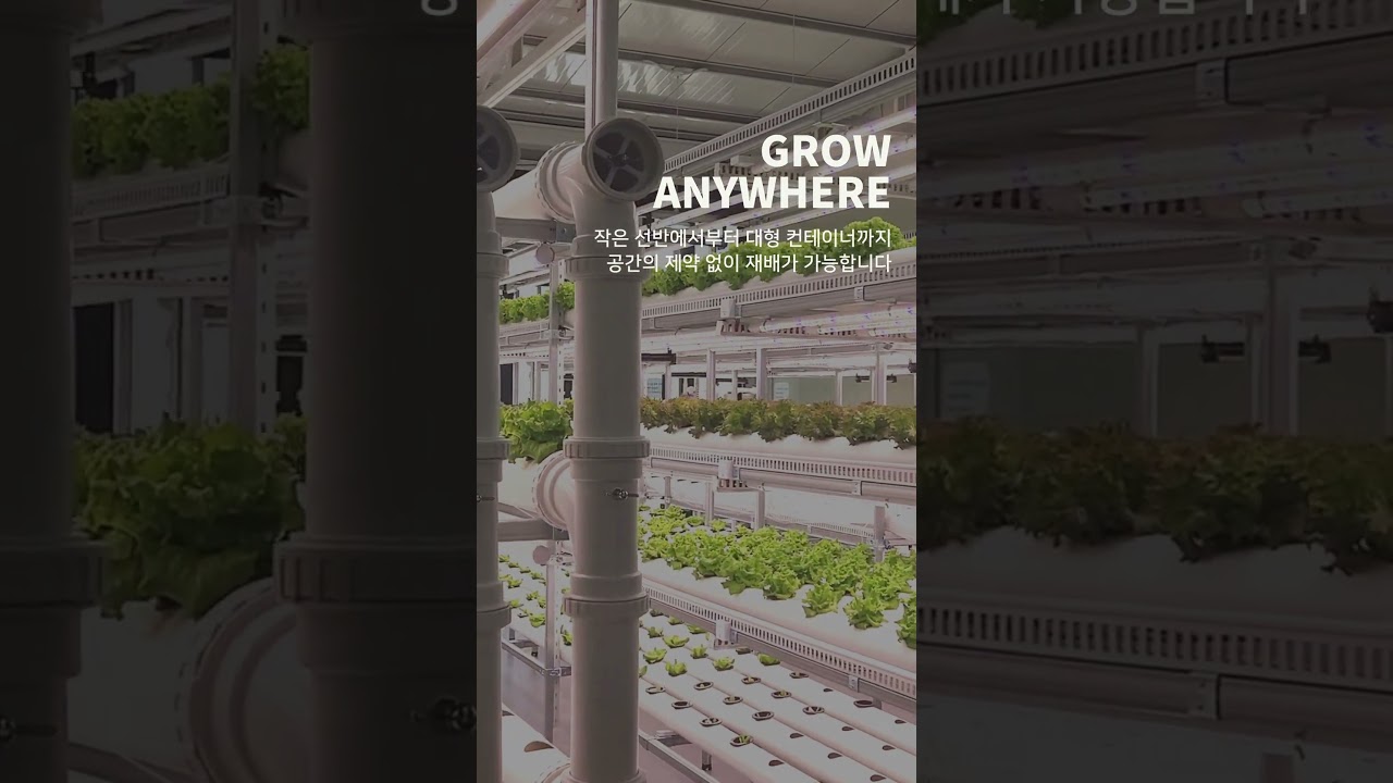 Revolutionize Urban Farming with Aquaponics! Sustainable Smart Farms for Small Biz. CHAESO FARM
