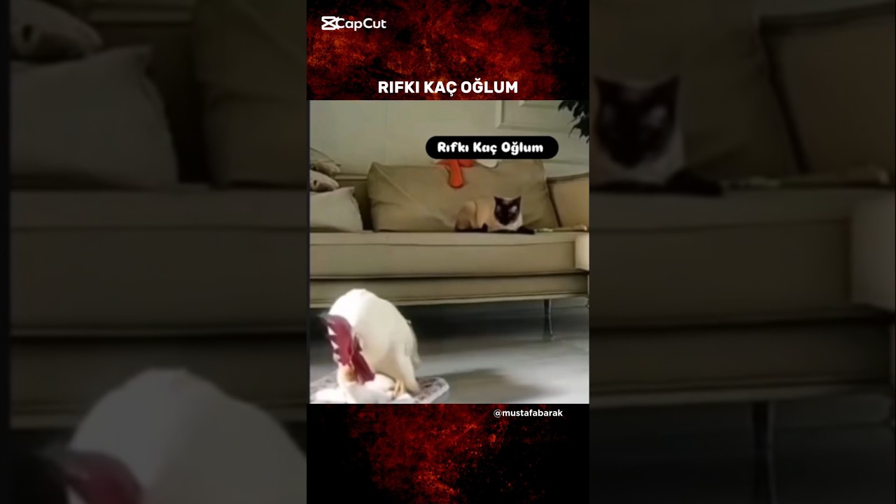 Rıfkı kaç oğlum
