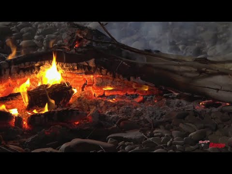 Rhino Rissoles - Roothy Bush Cooking