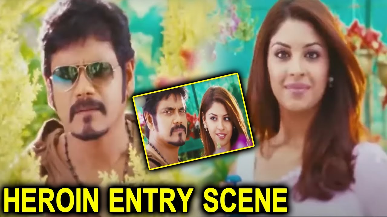 Richa Langella Superb Entry Scene || Nagarjuna || Bhai Telugu Movie Scenes || HD Cinema Official
