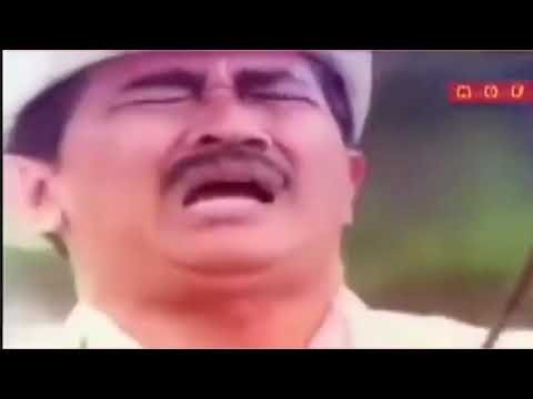 RIMBA PANAS FILM JADUL