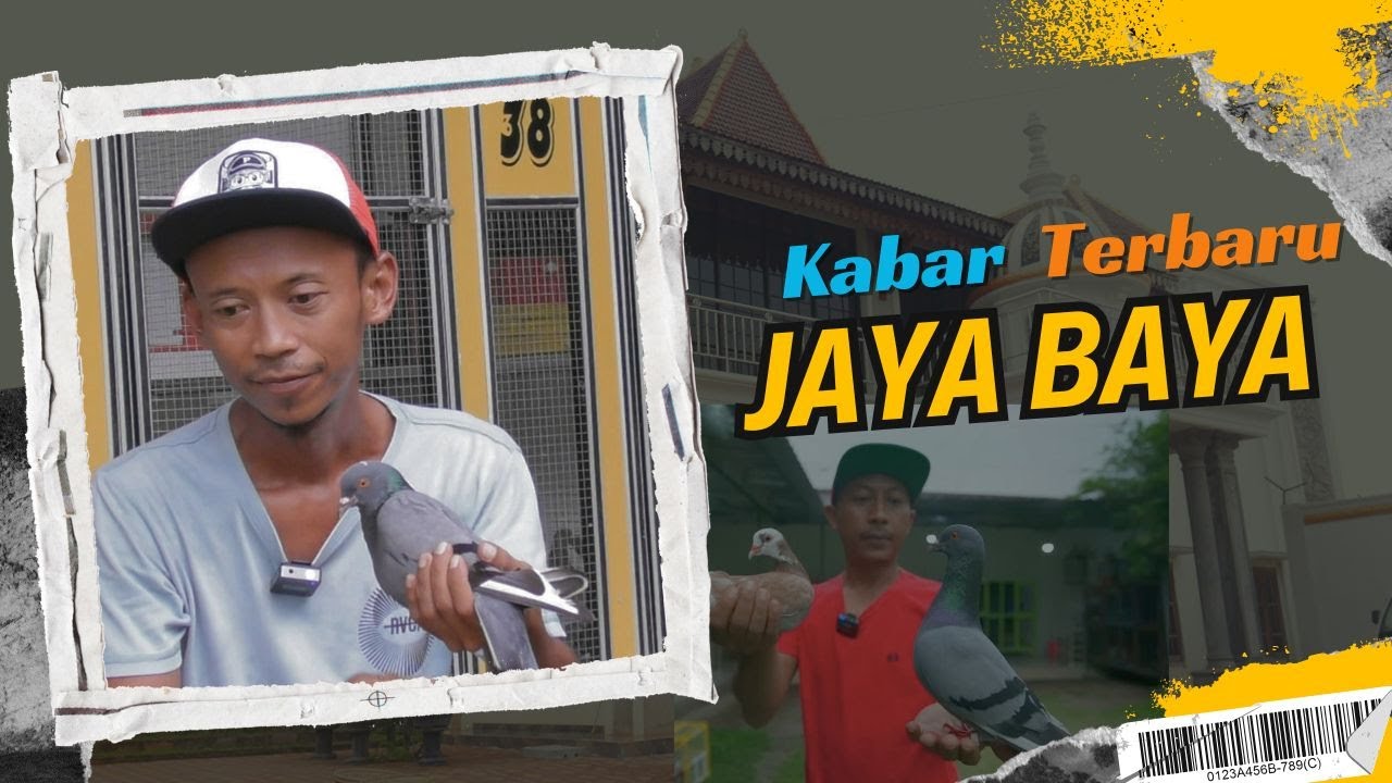 RIVEW JAYA BAYA THE VIRAL DOVE HAS BEEN OFFERED FOR UP TO 1.7 BILLION BUT HAS NOT WANTED TO RELEA...