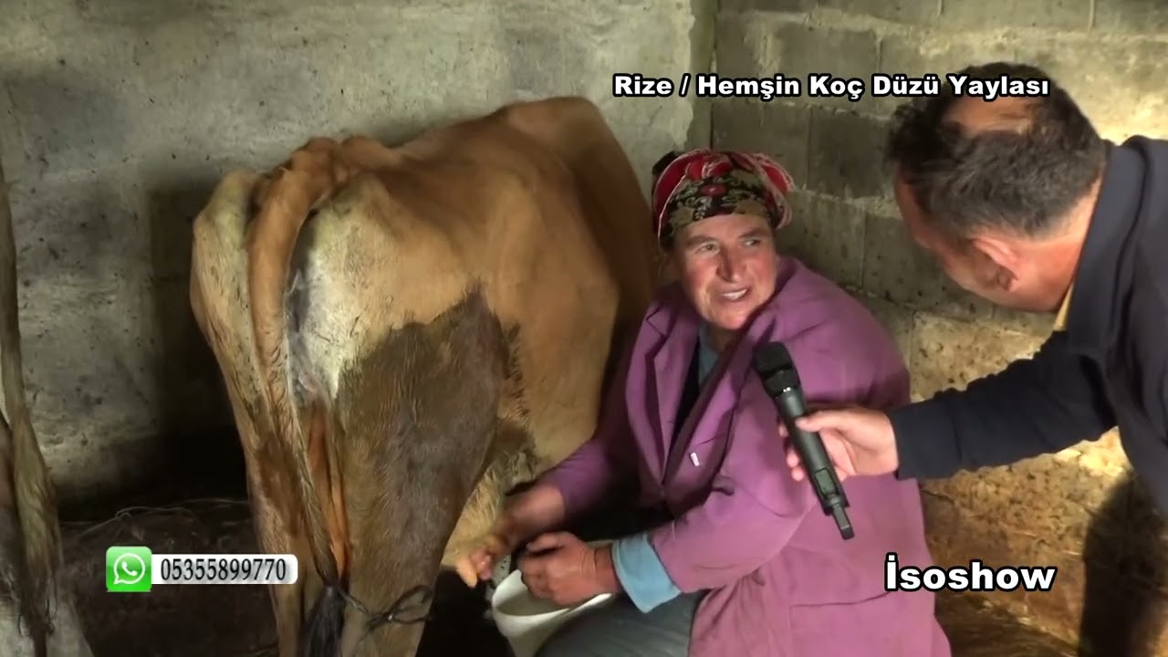 rize hemşin koç düzü yaylası 1