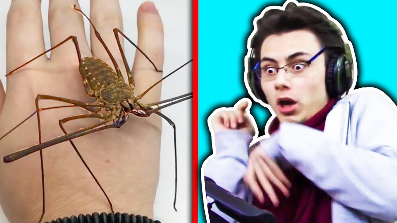 ÜRKMEME CHALLENGE (EN ZOR CHALLENGE) (TÜRKİYE'DE İLK)