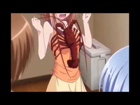 Ro Kyu Bu! OVA   The perverted lobster