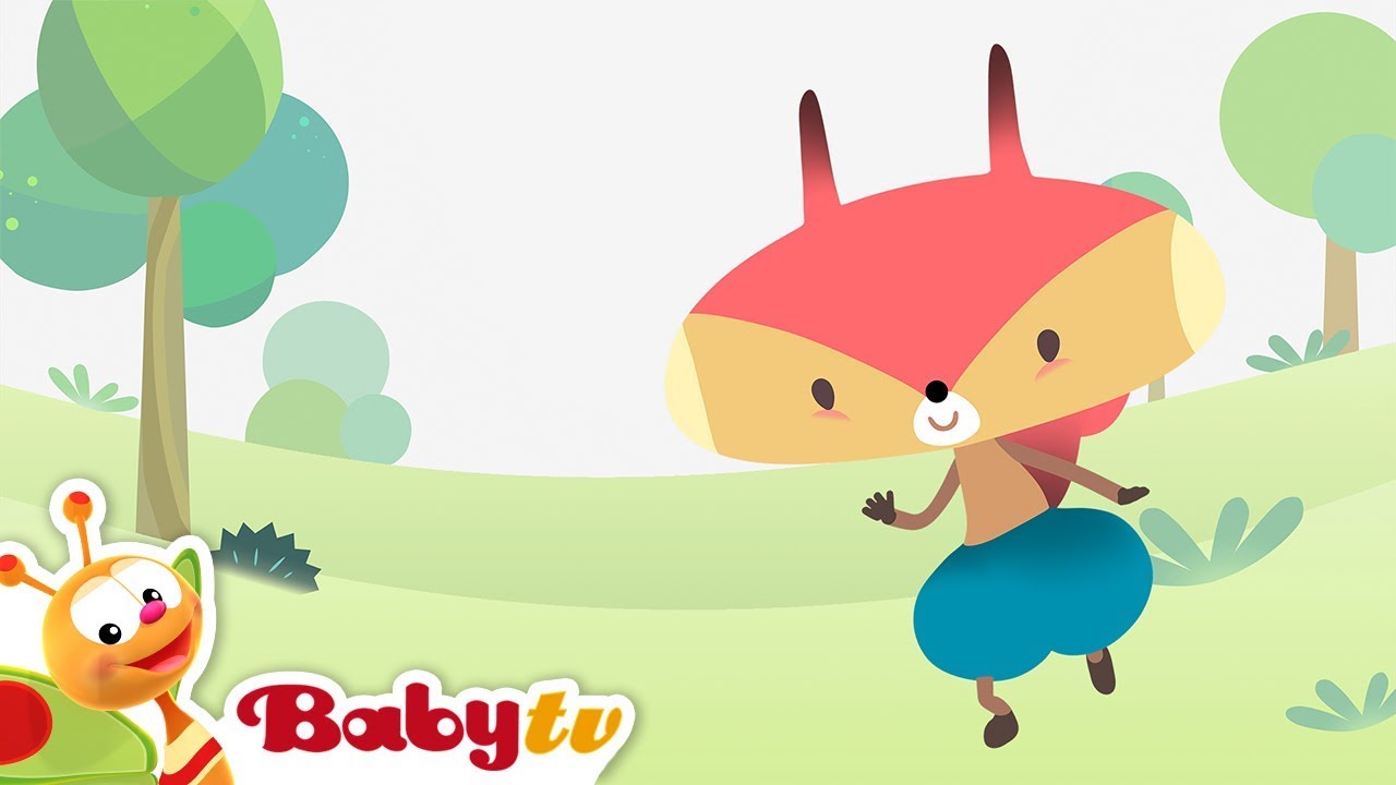 Rocco - Daily on BabyTV @BabyTV