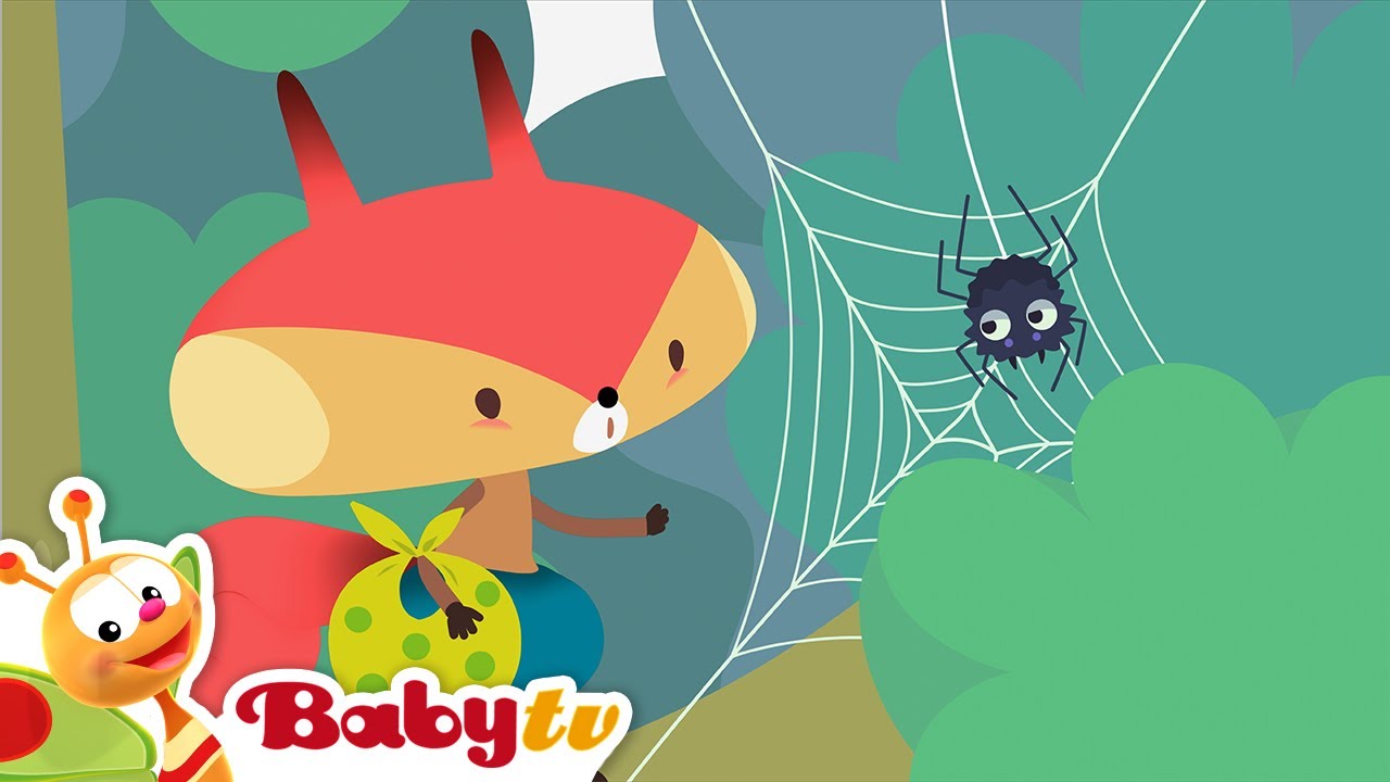 Rocco - NEW episodes now on BabyTV
