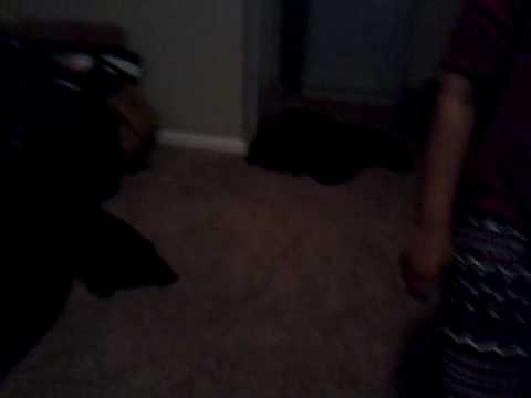 Rock paper scissors challenge lol