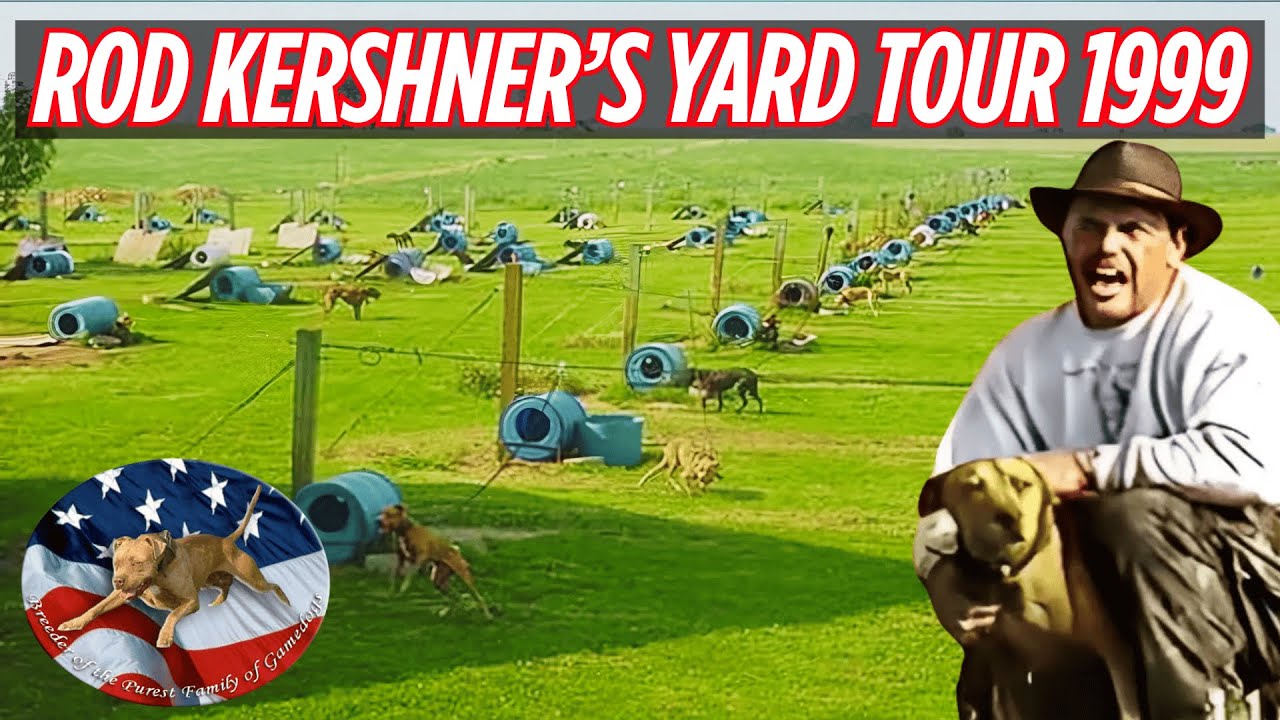 ROD KERSHNERS🤵 YARD TOUR 🐕 GAMEDOG