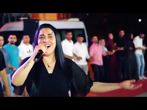 Rojin Tarini Mordemiye Canlı Performans