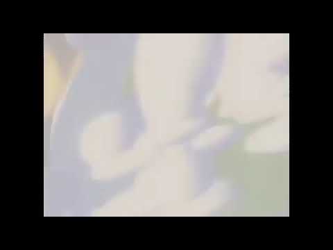rolie polie olie reves 1998 no original