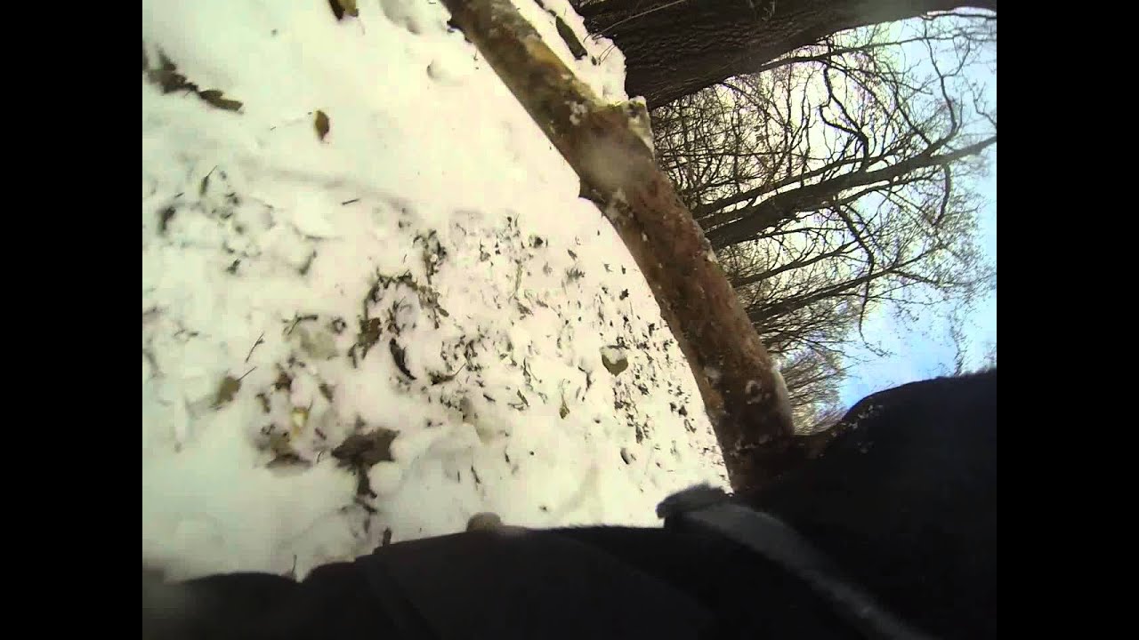 Ronny jagdterrier with a GoPro HERO 3 Black edition