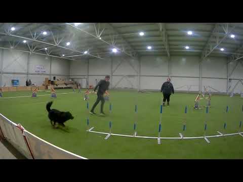Rony a Jee Agility LA2