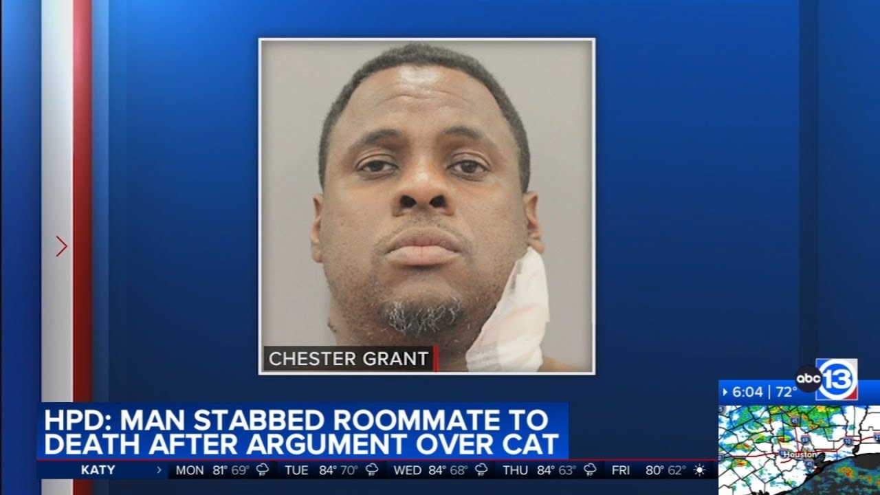 Roommate stabbed woman 28 times after fight over cat, records say