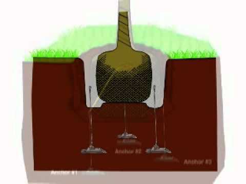 Root Ball Kit Installation Video