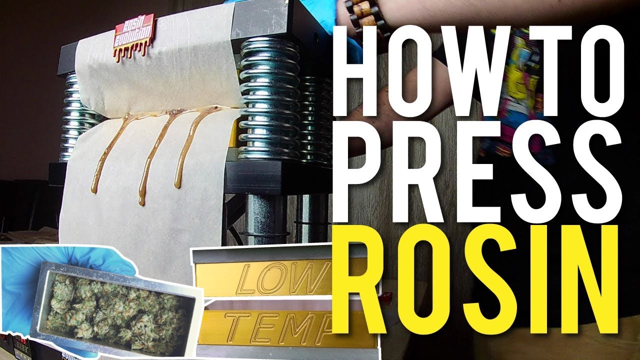 ROSIN PRESS: FULL PROCESS TO SAFE WAX EXTRACTIONS