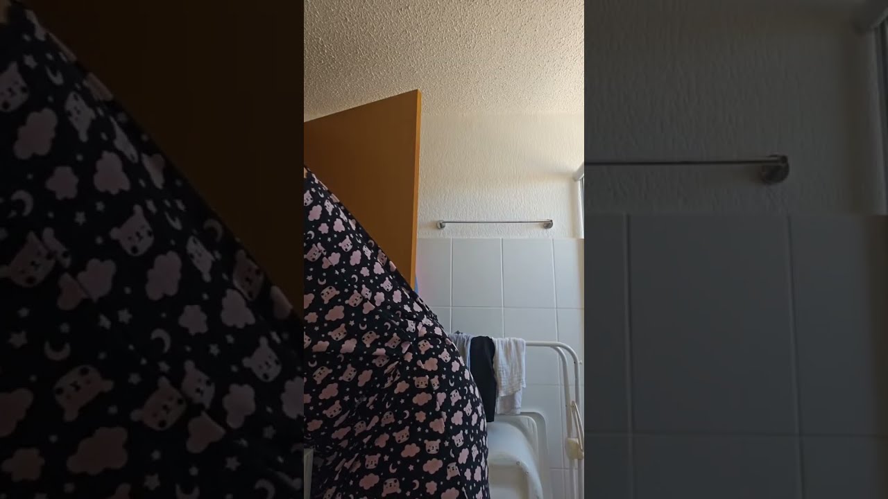 Rotina matinal