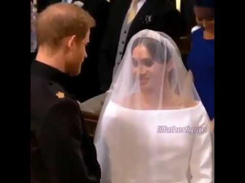 Royal wedding I object (Shrek)