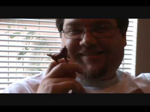 Rudolph's Untimely Demise.wmv
