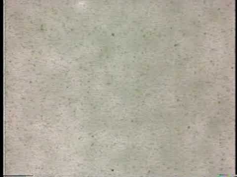 Rugrats Credits [WITH NO TEXT]