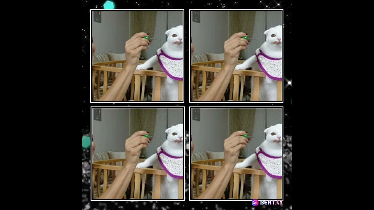 rukiye çetinkaya ve prenses lina tv pamuk dorin ile fotoğrafları