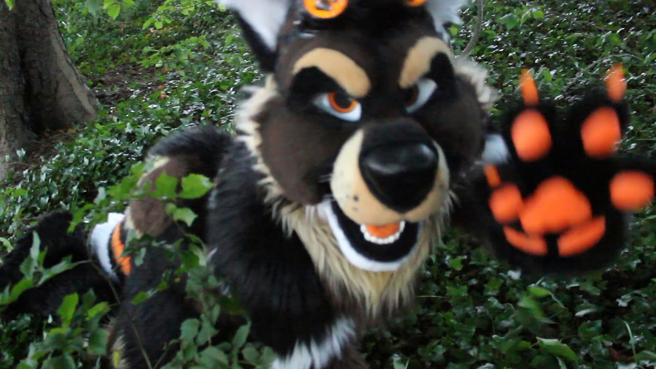 Runaway - Fursuit music video
