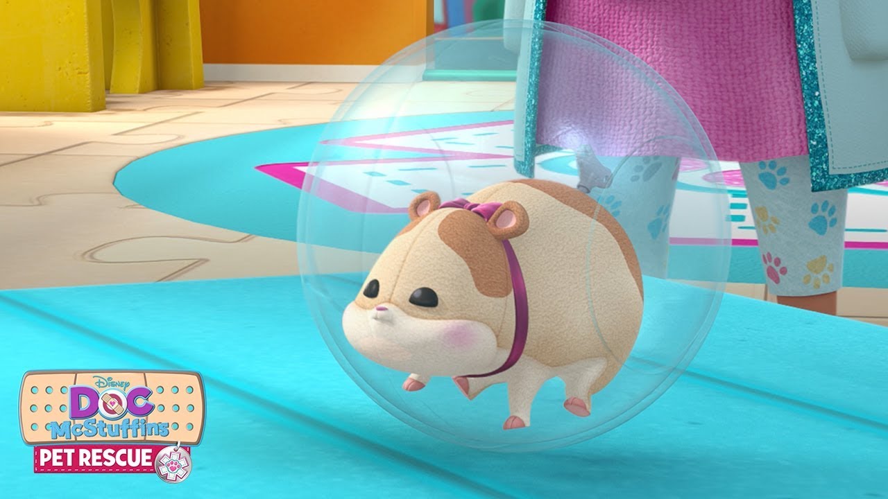 Runaway Roller | Doc McStuffins Pet Rescue | Disney Junior